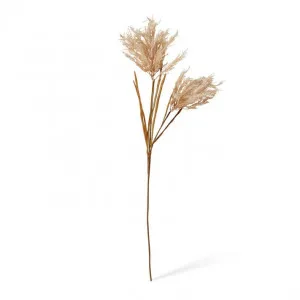 Pampas Field Grass Decor Spray - 30 x 30 x 120cm by Elme Living, a Plants for sale on Style Sourcebook