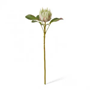 Protea Grand King Stem - 30 x 30 x 66cm by Elme Living, a Plants for sale on Style Sourcebook