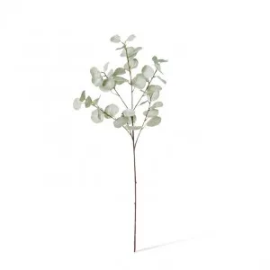 Eucalyptus Dollar Spray - 35 x 15 x 90cm by Elme Living, a Plants for sale on Style Sourcebook