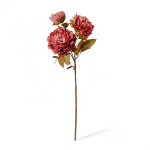 Peony Queen Decor Spray - 30 x 20 x 76cm by Elme Living, a Plants for sale on Style Sourcebook