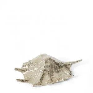 Mure x  Shell Sculpture - 33 x 19 x 10cm by Elme Living, a Statues & Ornaments for sale on Style Sourcebook