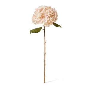 Hydrangea Decor Stem - 26 x 23 x 66cm by Elme Living, a Plants for sale on Style Sourcebook