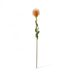 Pin Cushion Stem - 7 x 8 x 63cm by Elme Living, a Plants for sale on Style Sourcebook