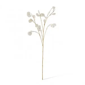 Silver Dollar Spray - 15 x 4 x 94cm by Elme Living, a Plants for sale on Style Sourcebook