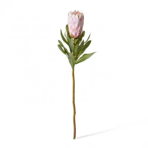 Protea Grand Stem - 10 x 10 x 65cm by Elme Living, a Plants for sale on Style Sourcebook