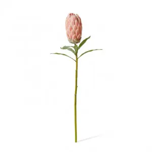 Protea Stem - 16 x 10 x 61cm by Elme Living, a Plants for sale on Style Sourcebook