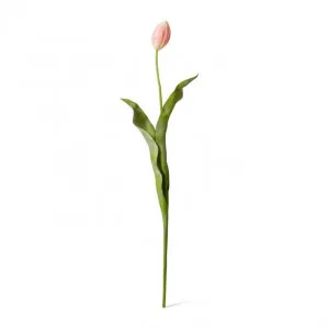 Tulip Stem - 9 x 3 x 74cm by Elme Living, a Plants for sale on Style Sourcebook