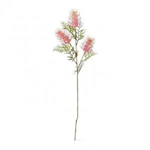 Grevillea Spray - 21 x 9 x 84cm by Elme Living, a Plants for sale on Style Sourcebook