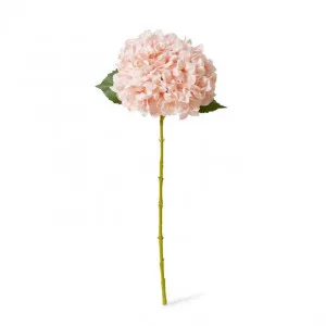 Hydrangea Classic Large Stem - 20 x 20 x 65cm by Elme Living, a Plants for sale on Style Sourcebook