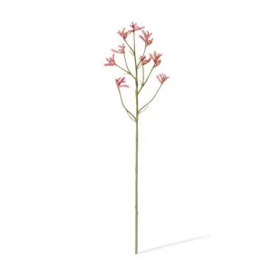 Kangaroo Paw Spray - 13 x 5 x 71cm by Elme Living, a Plants for sale on Style Sourcebook