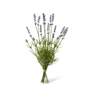 Lavender Bundle - 20 x 20 x 41cm by Elme Living, a Plants for sale on Style Sourcebook