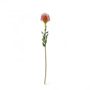 Pin Cushion Stem - 7 x 8 x 63cm by Elme Living, a Plants for sale on Style Sourcebook