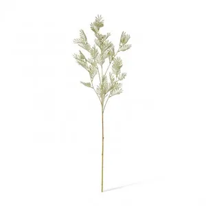 Wattle Leaf Spray - 35 x 15 x 92cm by Elme Living, a Plants for sale on Style Sourcebook