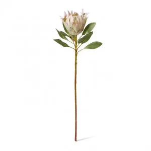 Protea King Stem - 20 x 20 x 73cm by Elme Living, a Plants for sale on Style Sourcebook