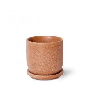 Allegra Pot w. Saucer - 12 x 12 x 12cm by Elme Living, a Plant Holders for sale on Style Sourcebook