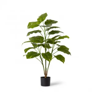 Pothos Potted - 68 x 68 x 107cm by Elme Living, a Plants for sale on Style Sourcebook