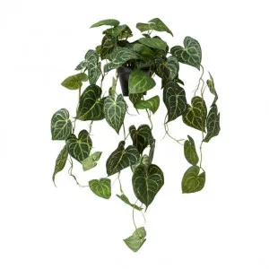Anthurium Hanging Plant Potted - 38 x 35 x 84cm by Elme Living, a Plants for sale on Style Sourcebook