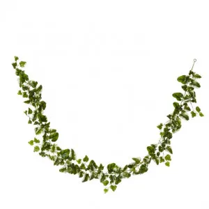 Ivy Kangaroo Garland - 15 x 10 x 180cm by Elme Living, a Plants for sale on Style Sourcebook