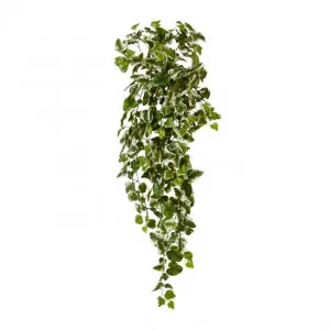 Ivy Kangaroo Hanging Bush - 45 x 40 x 110cm by Elme Living, a Plants for sale on Style Sourcebook