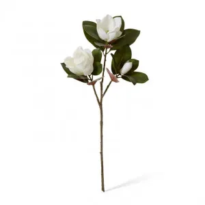 Magnolia Flower Spray - 40 x 40 x 85cm by Elme Living, a Plants for sale on Style Sourcebook