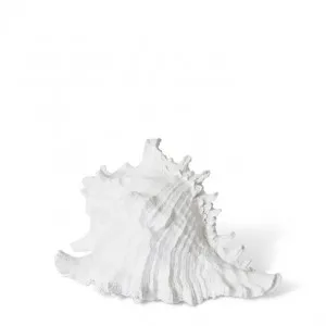 Mure x  Shell Sculpture - 20 x 16 x 12cm by Elme Living, a Statues & Ornaments for sale on Style Sourcebook