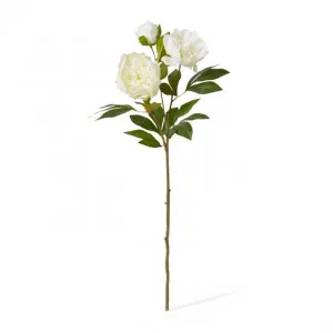 Peony Classic Spray - 27 x 24 x 75cm by Elme Living, a Plants for sale on Style Sourcebook