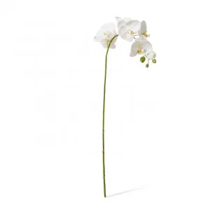 Phalaenopsis Lush Stem - 25 x 10 x 78cm by Elme Living, a Plants for sale on Style Sourcebook