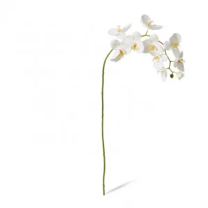 Phalaenopsis Lush Stem - 35 x 15 x 97cm by Elme Living, a Plants for sale on Style Sourcebook