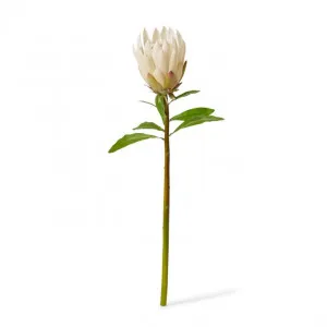 Protea King Stem - 12 x 12 x 68cm by Elme Living, a Plants for sale on Style Sourcebook