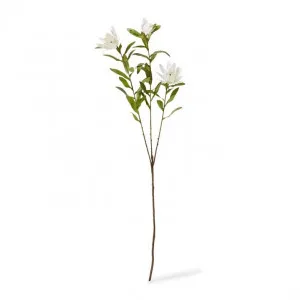 Protea Orientale Spray - 42 x 16 x 99cm by Elme Living, a Plants for sale on Style Sourcebook