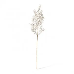 Ruscus Deco Spray - 28 x 12 x 94cm by Elme Living, a Plants for sale on Style Sourcebook