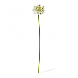 Star Flower Stem - 13 x 7 x 76cm by Elme Living, a Plants for sale on Style Sourcebook