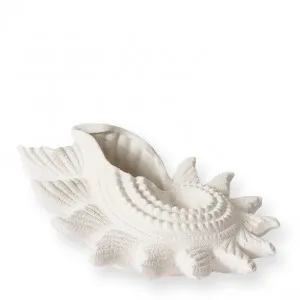 Star Shell - 32 x 29 x 15cm by Elme Living, a Statues & Ornaments for sale on Style Sourcebook