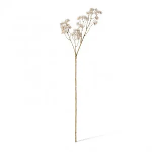 Aralia Deco Seed Spray - 13 x 11 x 84cm by Elme Living, a Plants for sale on Style Sourcebook