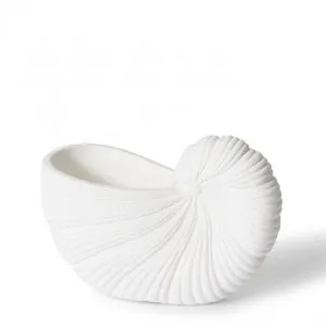 Conch Shell Pot - 21 x 10 x 15cm by Elme Living, a Plant Holders for sale on Style Sourcebook