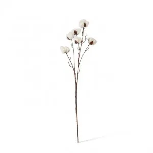 Cotton Stem - 13 x 9 x 66cm by Elme Living, a Plants for sale on Style Sourcebook