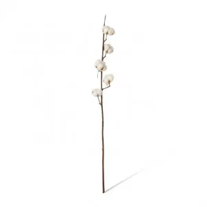 Cotton Stem - 15 x 8 x 90cm by Elme Living, a Plants for sale on Style Sourcebook