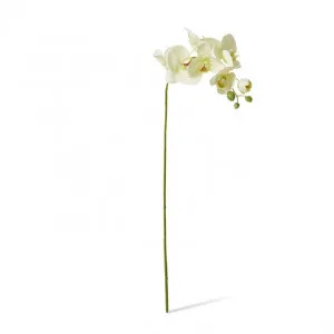 Phalaenopsis Lush Stem - 25 x 10 x 78cm by Elme Living, a Plants for sale on Style Sourcebook