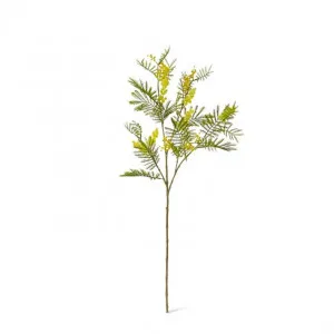 Wattle Spray - 15 x 8 x 79cm by Elme Living, a Plants for sale on Style Sourcebook