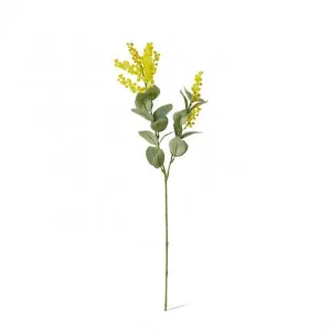 Wattle Spray - 10 x 5 x 61cm by Elme Living, a Plants for sale on Style Sourcebook