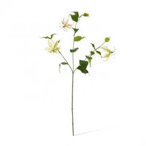 Gloriosa Spray - 19 x 6 x 90cm by Elme Living, a Plants for sale on Style Sourcebook