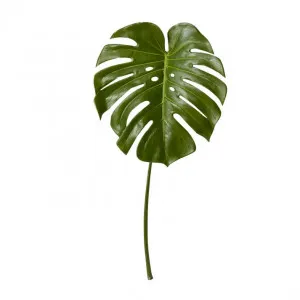 Monstera Leaf Green - 60cm by James Lane, a Plants for sale on Style Sourcebook