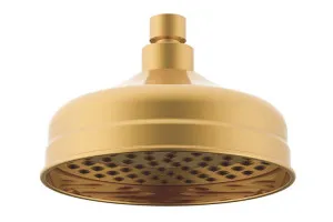 Eternal Shower Rose Brushed Brass by ADP, a Shower Heads & Mixers for sale on Style Sourcebook