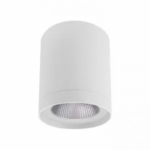 SAL Column Commercial Grade Surface Mount LED Downlight, 13W, 4000K, Matt White (S9603/80/15CW) by Sunny Lighting (SAL), a Spotlights for sale on Style Sourcebook