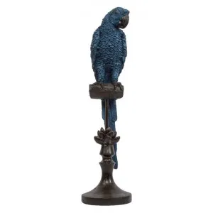 Alexa Macaw Sculpture, Blue by Florabelle, a Statues & Ornaments for sale on Style Sourcebook