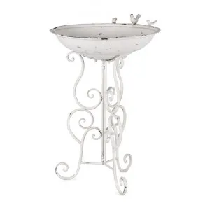 Livorno Metal Bird Bath by Want GiftWare, a Statues & Lawn Ornaments for sale on Style Sourcebook