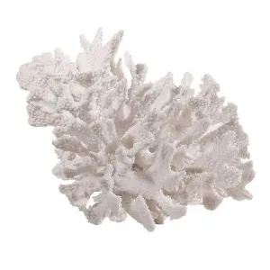 Wallace Coral Sculpture, Large by Affinity Furniture, a Statues & Ornaments for sale on Style Sourcebook