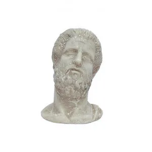 Alessandro Head Sculpture by French Country Collection, a Statues & Ornaments for sale on Style Sourcebook
