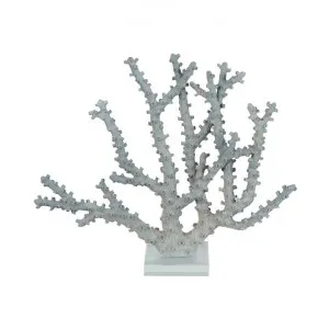 Santa Monica Coral Sculpture, Small by Florabelle, a Statues & Ornaments for sale on Style Sourcebook