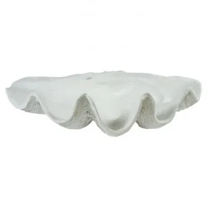 Avoca Clam Shell Sculpture Decor, 58cm, White by Searles, a Statues & Ornaments for sale on Style Sourcebook